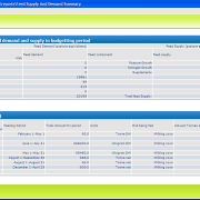 report budget summary